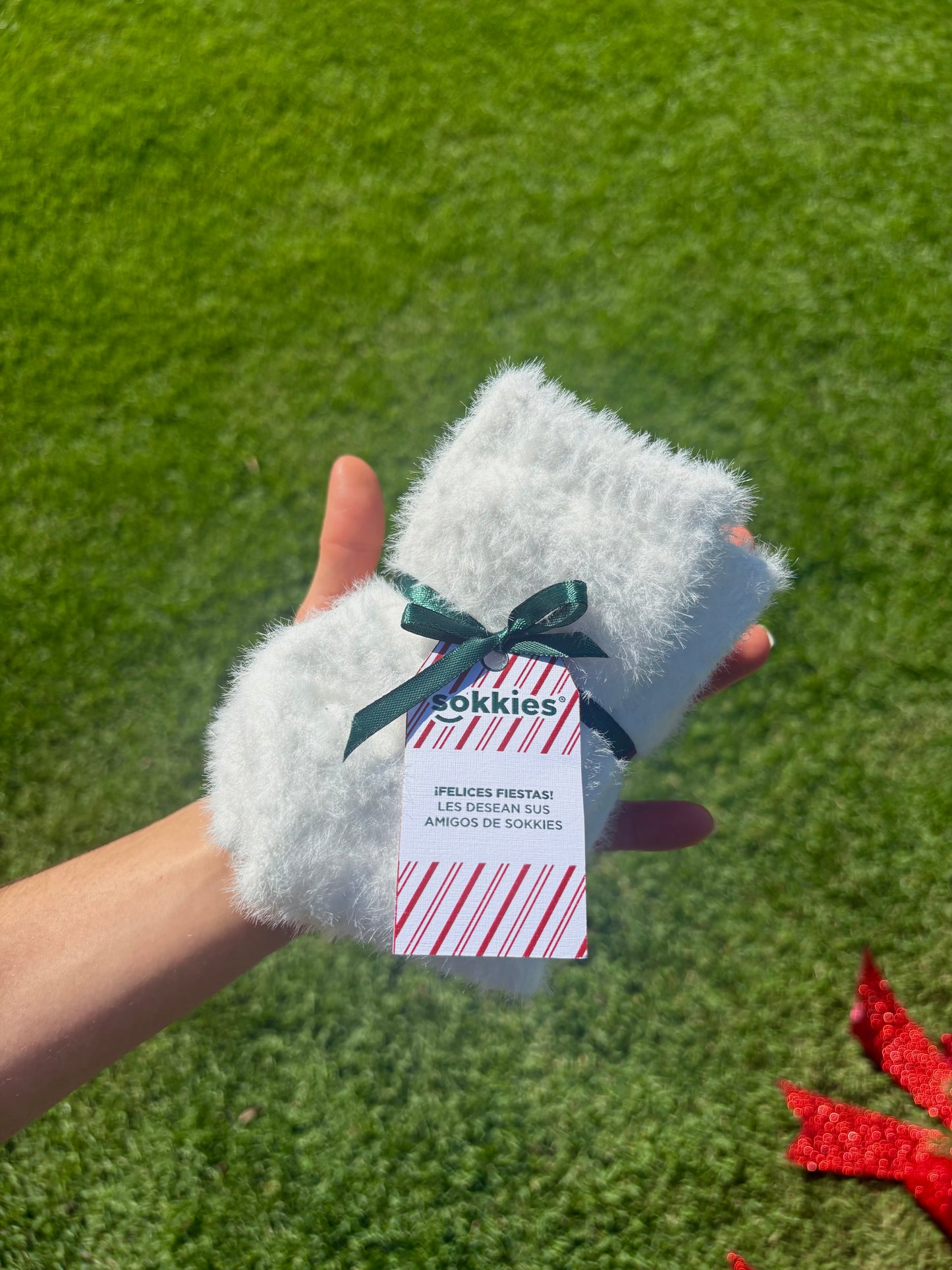 LIMITED TIME ONLY : WARMIES